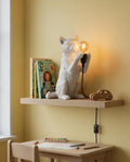 Lampada Gatto Munchkin