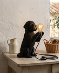 Lampada Lagotto Romagnolo
