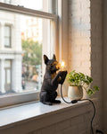 Lampada Boston Terrier